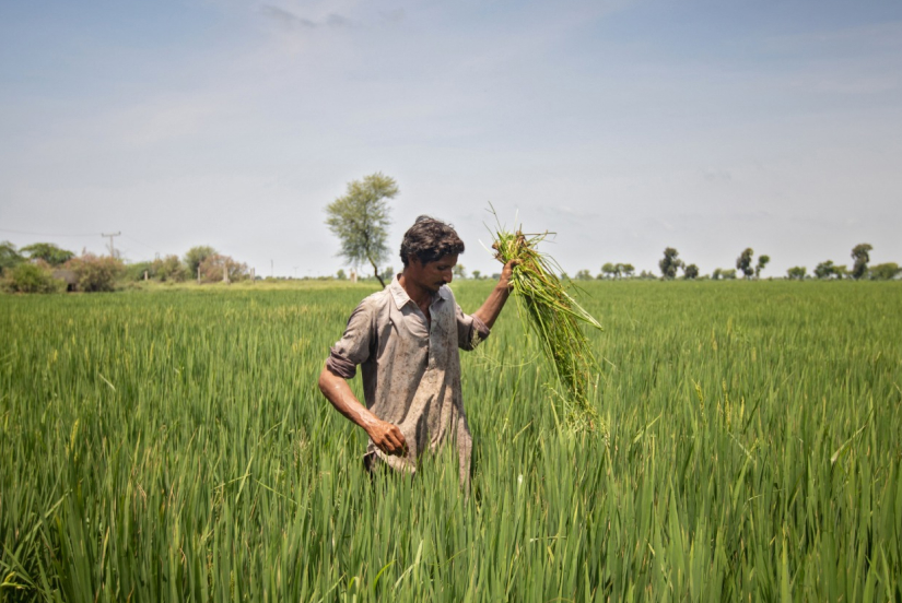 About Farmdar | AI & Satellite-Powered Agriculture Solutions